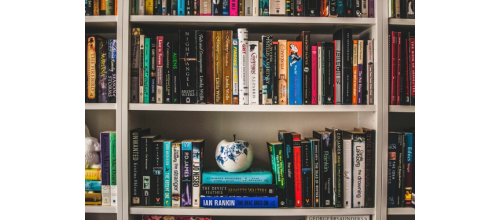 Regał na książki – do jakiego stylu pasuje?